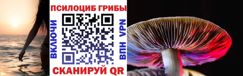 купить наркотики сайты  Новоаннинский  Псилоцибиновые грибы Magic Shrooms 